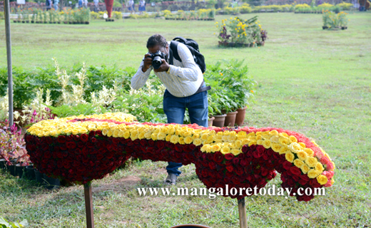 flower sho in kadri